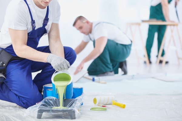Professional interior construction worker pouring green color to paint